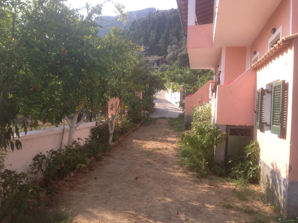 Athina Studios Paleokastritsa Exteriör bild